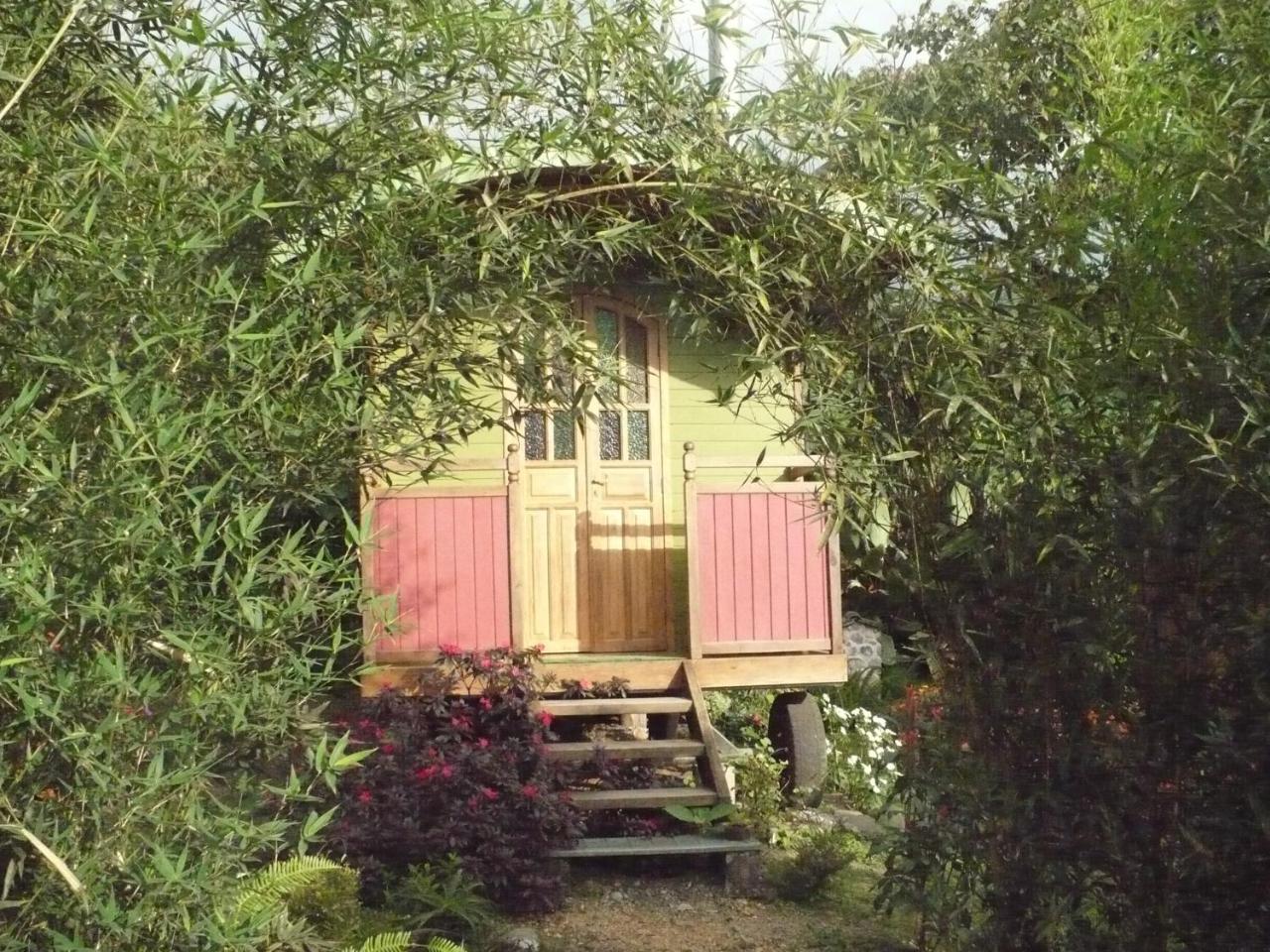Hosteria La Roulotte - Mindo Bagian luar foto